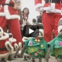 Christmas Penguin Parade